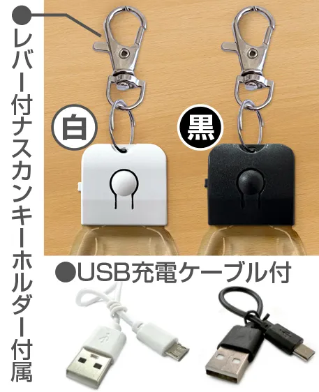 LEDチャームキーホルダー 本体色
