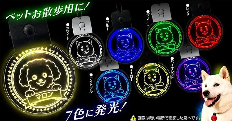 ペットお散歩用 LEDチャームキーホルダー 発光色 7色